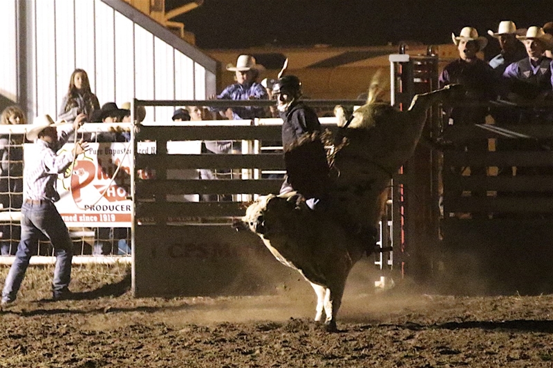 Image #5 (Open Bull Riding Under the Lights $5000 added Friday Night)